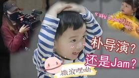 寂静森林找星星